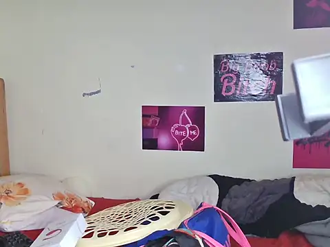 Aria_ah webcam