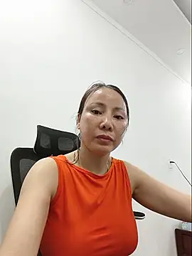 Fanritar webcam
