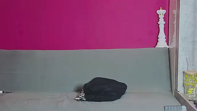 Y_St webcam