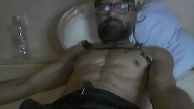 pigDany webcam