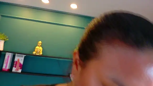 ale_cam webcam