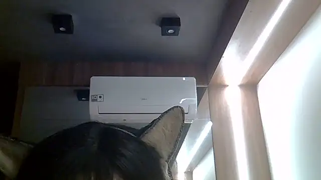 SkinnyKitten webcam
