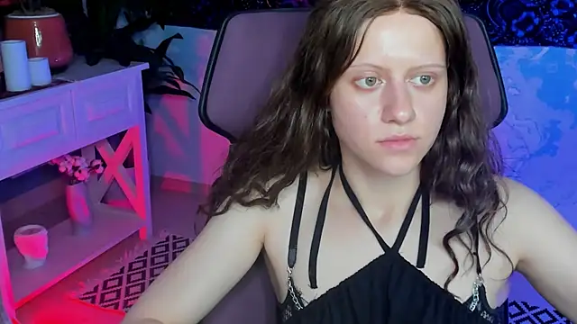 LidaDarknet webcam