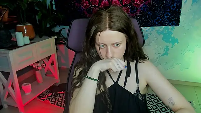 LidaDarknet webcam
