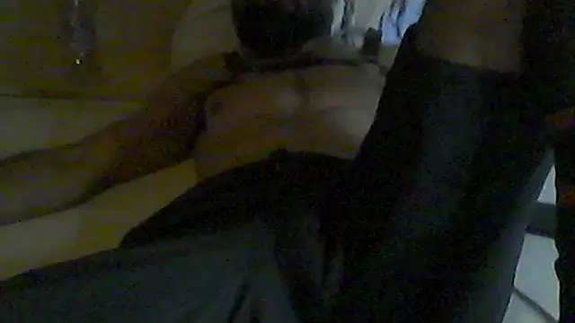 pigDany webcam