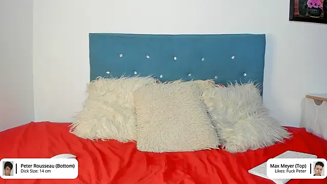 Max_and_Peter webcam