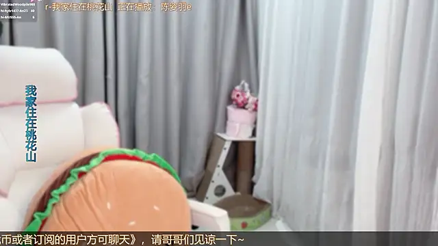 hi-AnAn webcam