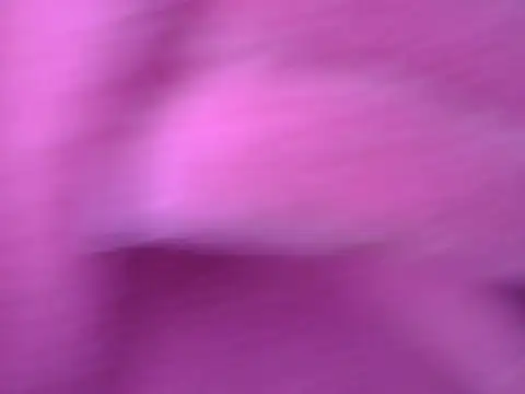 pamelasophia19 webcam