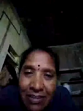 Loomaraj webcam
