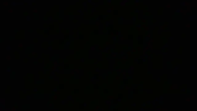 NuttyProfesir webcam