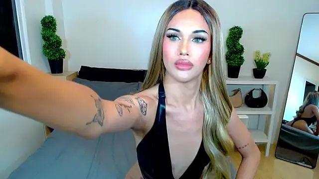 HorsecockMadison webcam