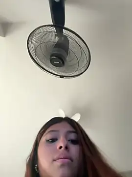 dafne17_ webcam