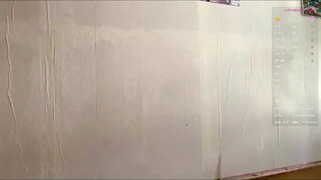 ElWolsen webcam