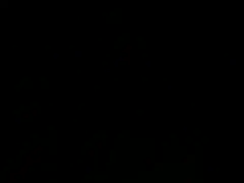 alyssabbygirll webcam
