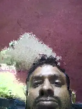 bkstar14 webcam