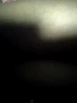 sapnajan webcam