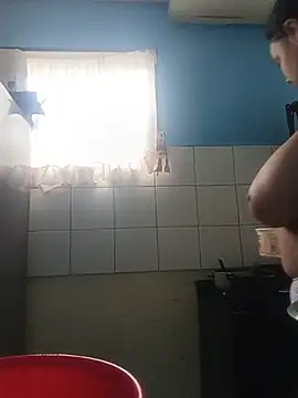 lapatronav2026 webcam