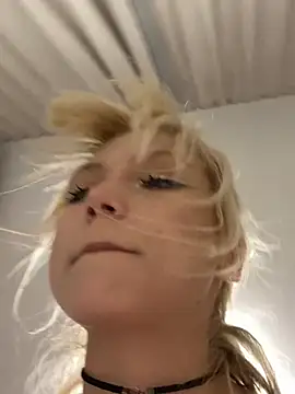 DriveThruKittens webcam