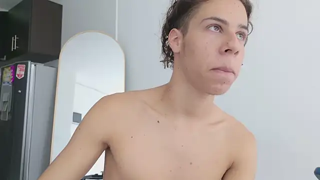 grey___27 webcam