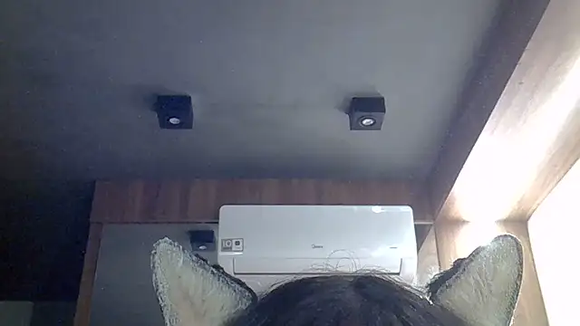 SkinnyKitten live cam on StripChat