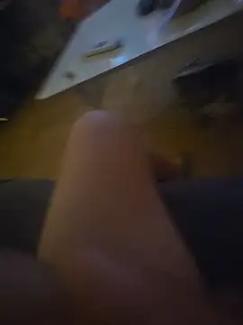 pokorogo2 webcam
