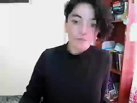 Came-II webcam