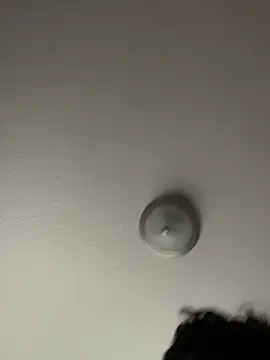 blueeyedman8 webcam