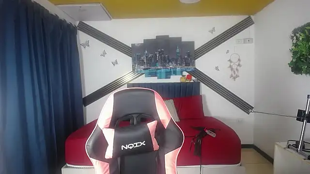 Zalomme webcam