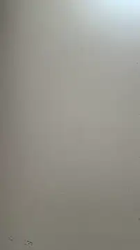 AlmaSajor_ webcam