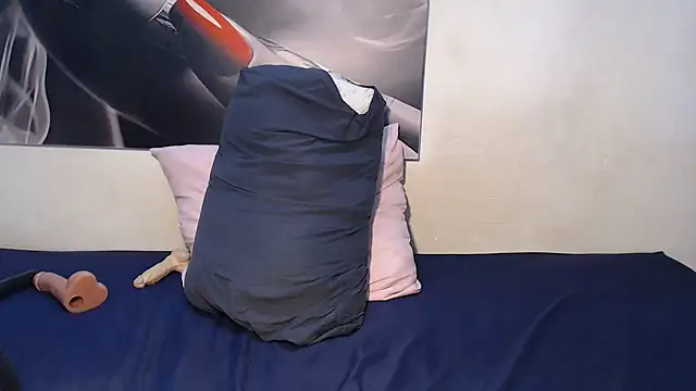 Vivi-ann webcam