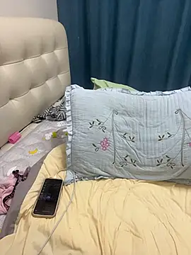 nana-5 webcam