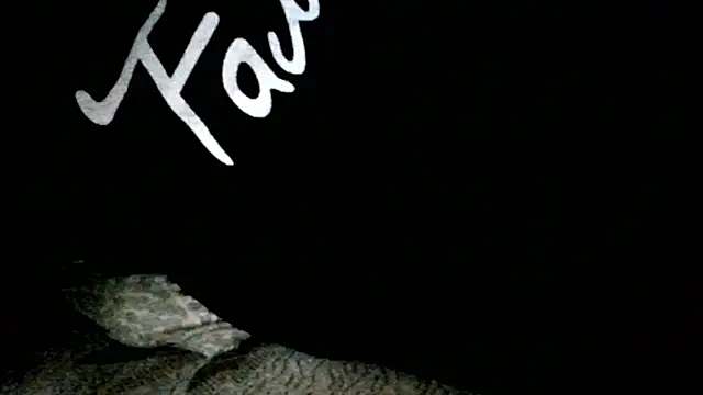 WalkingPolymer webcam