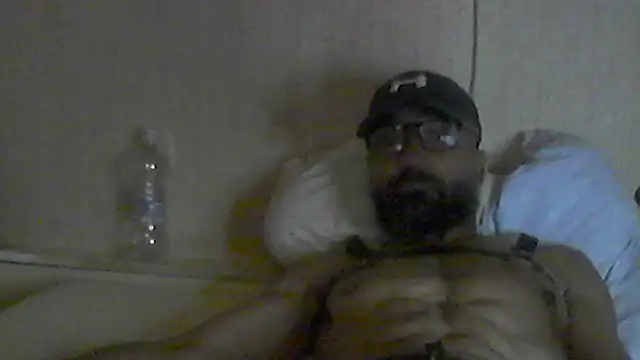 pigDany webcam