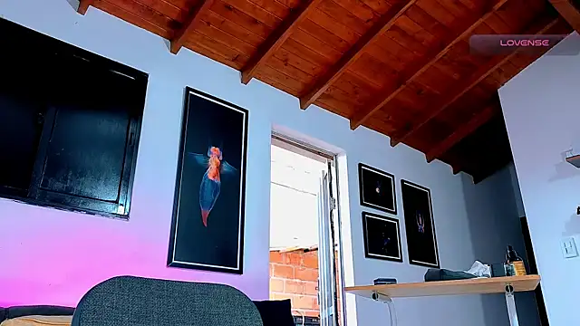 SilvaBranko webcam