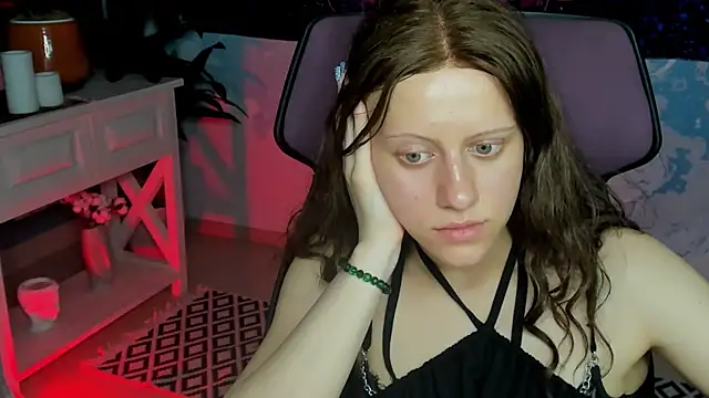LidaDarknet webcam