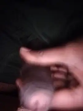 Luckyprasad2486 webcam
