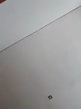 gladieitore webcam