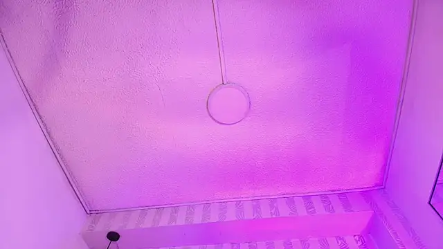 jeanne_holland webcam