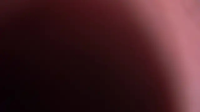 Wild_Wonders webcam