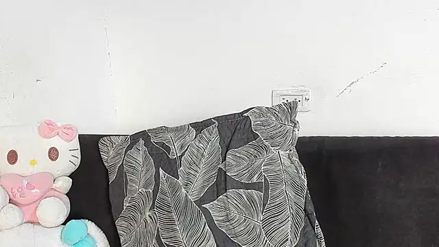 Eirlysx webcam