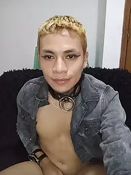 NekoboiPetiole webcam
