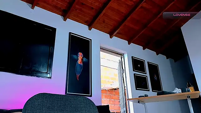 SilvaBranko webcam