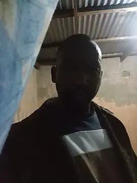 WiseDi webcam