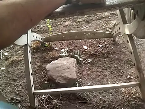 rush6983 webcam