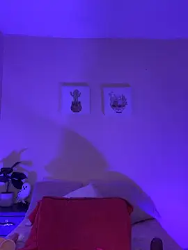 haily_babe webcam