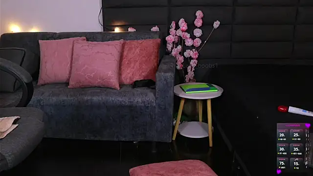 kathieandpovcock1 webcam