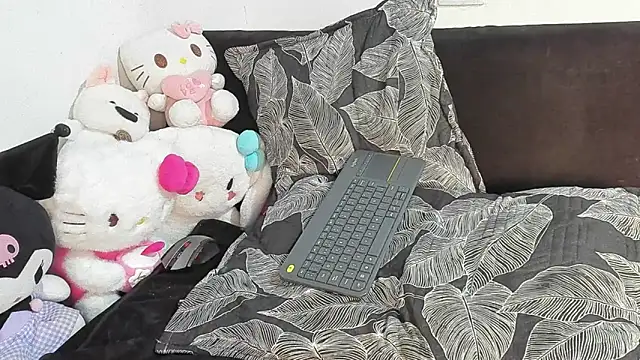 Eirlysx webcam