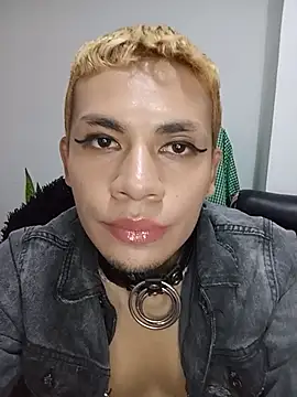 NekoboiPetiole webcam