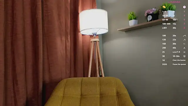 PocketDollX webcam