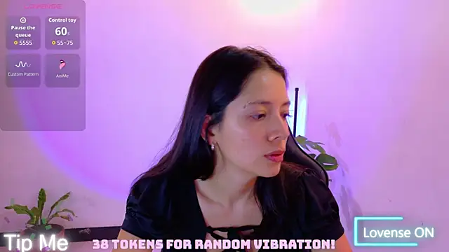 Sarasavage webcam